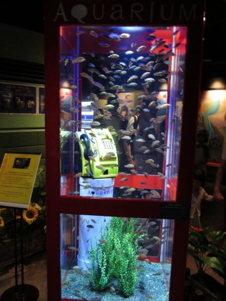 Сеул, Чёджу в июле 2015