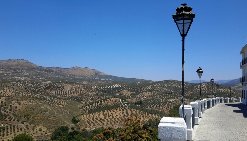 Андалусия июль 2015. Планы и результаты (с фото))