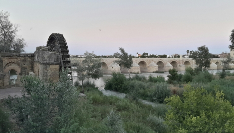 Андалусия июль 2015. Планы и результаты (с фото))