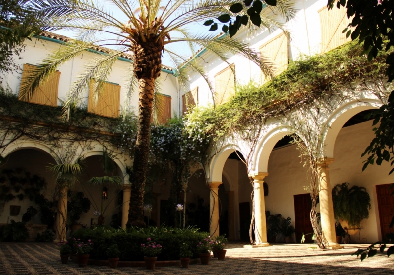 Андалусия июль 2015. Планы и результаты (с фото))