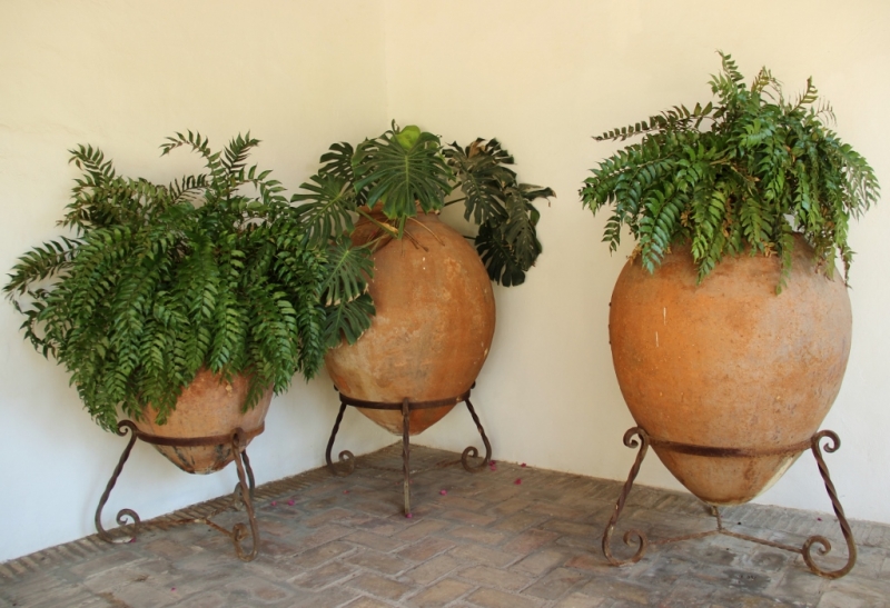 Андалусия июль 2015. Планы и результаты (с фото))