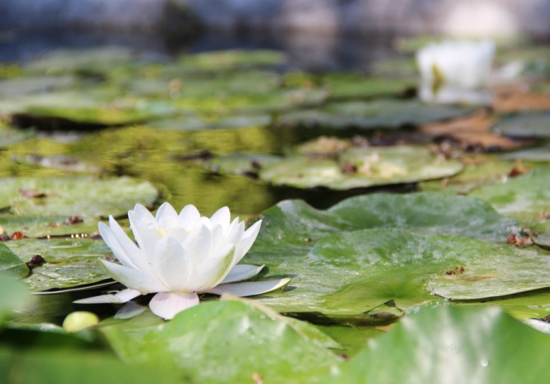 Андалусия июль 2015. Планы и результаты (с фото))