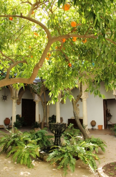 Андалусия июль 2015. Планы и результаты (с фото))