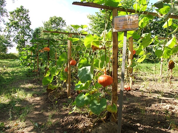 Руйиена - Наукшени 29-30.08.2015 Руйиена - Наукшени 29-30.08.2015