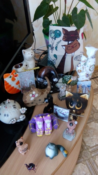 Поговорим о кошках35