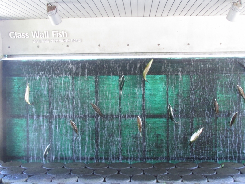 Сеул, Чёджу в июле 2015