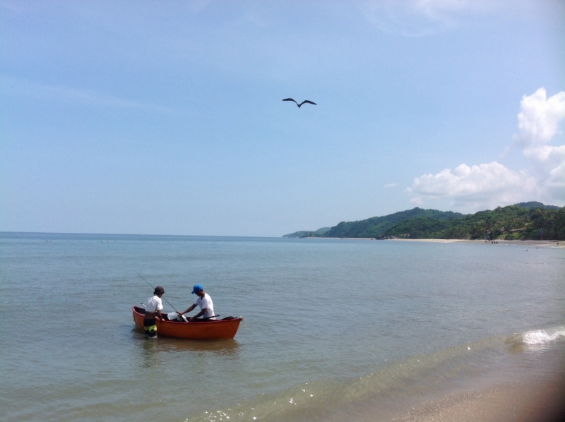 Puerto Vallarta, тихоокеанское побережье Мексики. Белое пятно на сайте Винского.