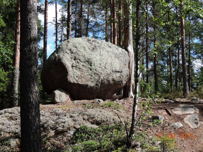 Финляндия, 10 дней с посещением национальных парков - Коли, Реповеси и  велопокатушек
