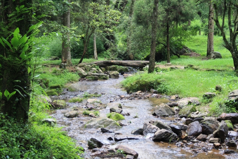 Окрестности Катманду: Годавари