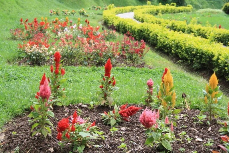 Окрестности Катманду: Годавари