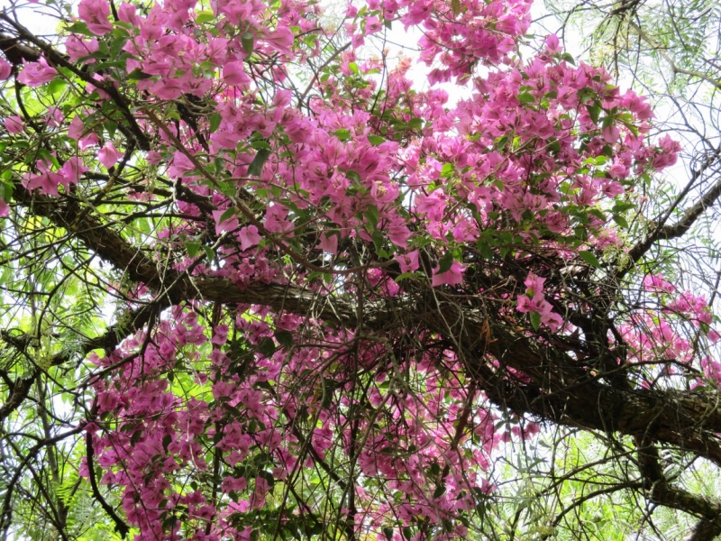 Лиссабон — город-ванная (Лиссабон, Порту, Синтра, Кашкайш)