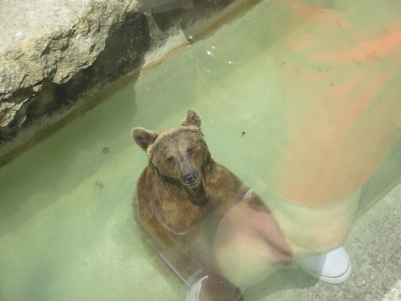 Лиссабон — город-ванная (Лиссабон, Порту, Синтра, Кашкайш)