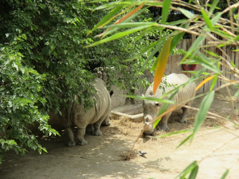 Лиссабон — город-ванная (Лиссабон, Порту, Синтра, Кашкайш)