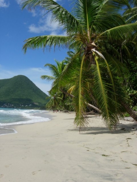 Побывала на Мартинике