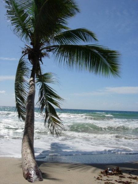 Побывала на Мартинике