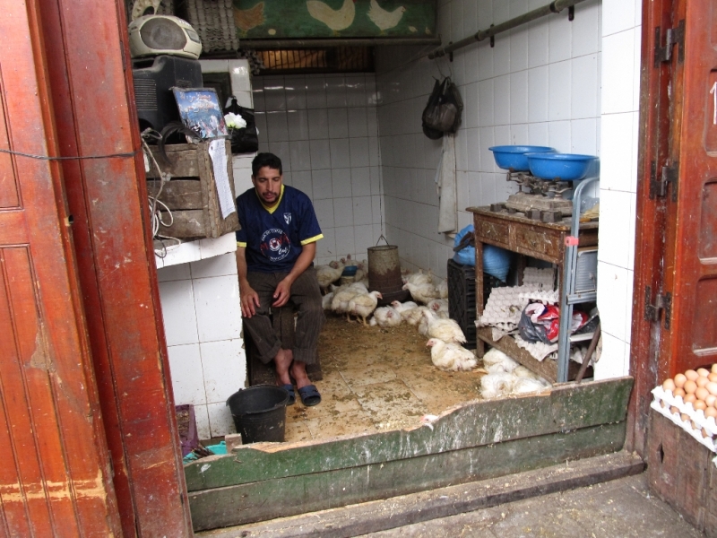 Горные лыжи, виндсерфинг, термы и кругозор. 13500 км по Европе июль-август 2015