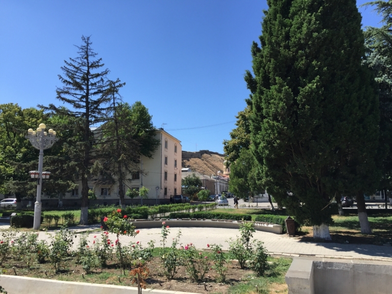 Неделя с видом на Светицховели, конец августа 2015