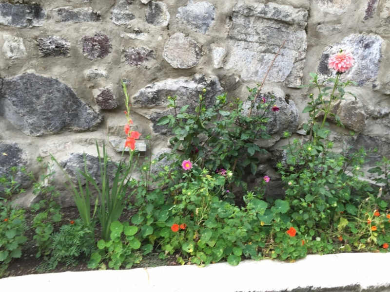 Неделя с видом на Светицховели, конец августа 2015