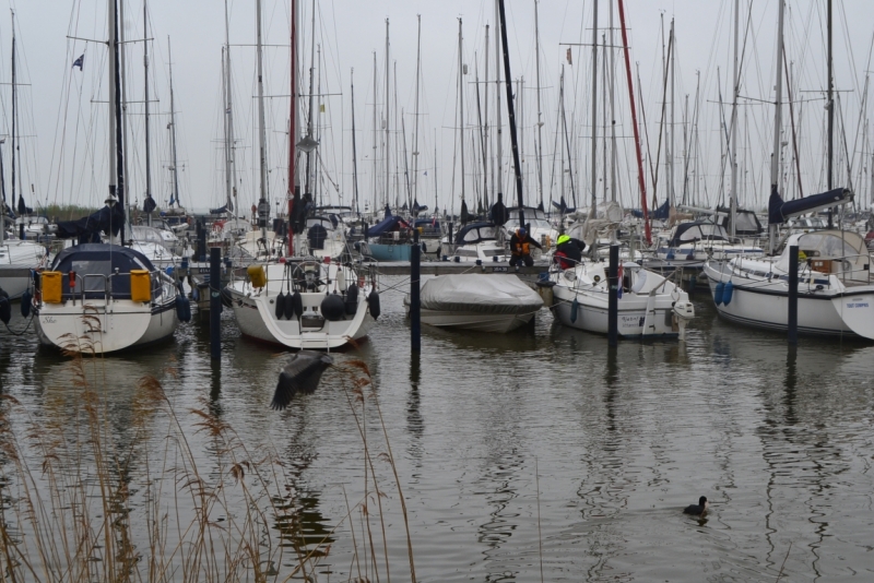 Голландские тюльпаны и бельгийское пиво. 5200 км, 13 дней.