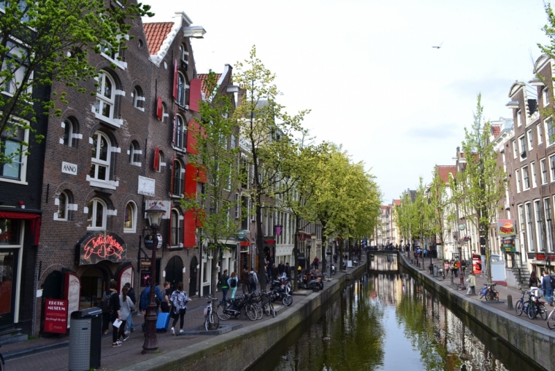 Голландские тюльпаны и бельгийское пиво. 5200 км, 13 дней.