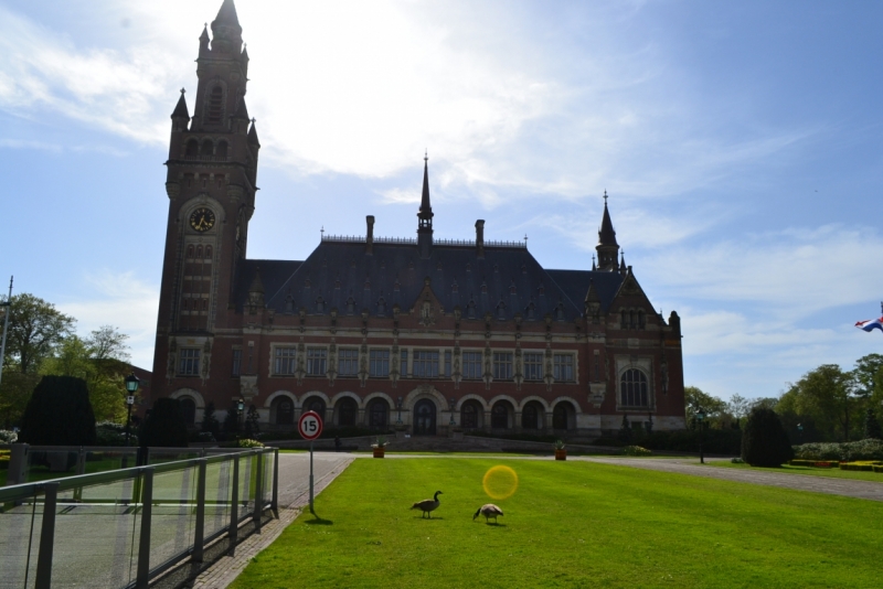 Голландские тюльпаны и бельгийское пиво. 5200 км, 13 дней.