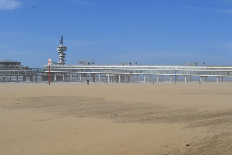 Голландские тюльпаны и бельгийское пиво. 5200 км, 13 дней.