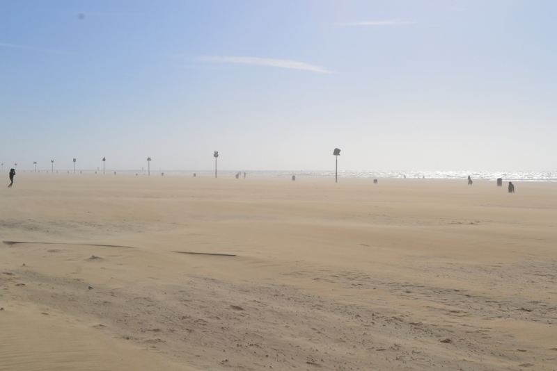 Голландские тюльпаны и бельгийское пиво. 5200 км, 13 дней.