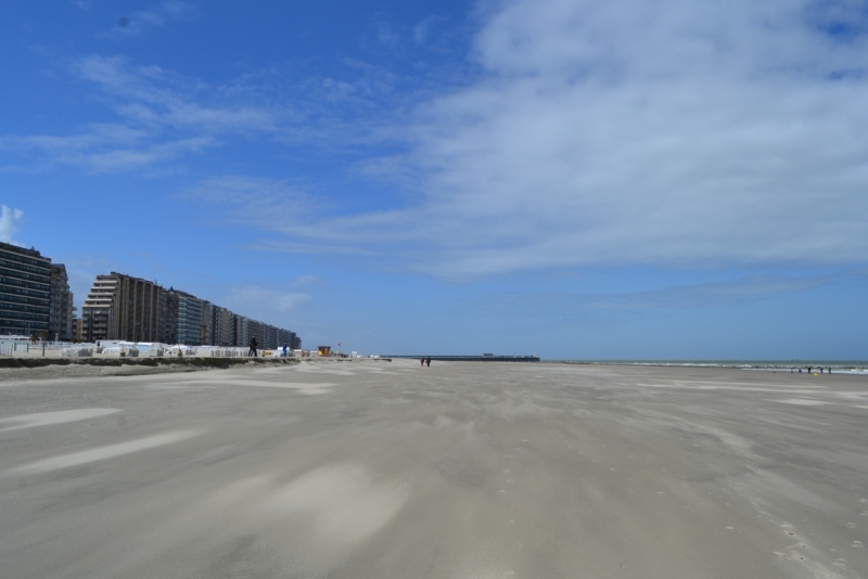 Голландские тюльпаны и бельгийское пиво. 5200 км, 13 дней.