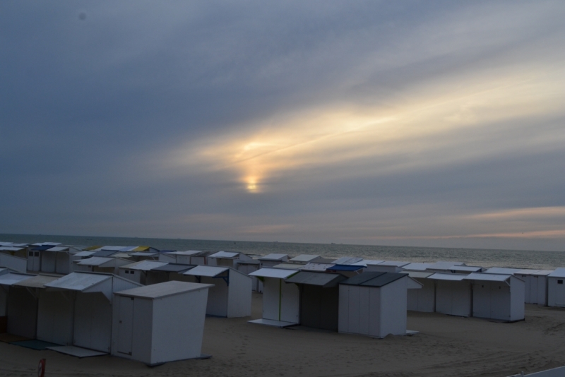 Голландские тюльпаны и бельгийское пиво. 5200 км, 13 дней.