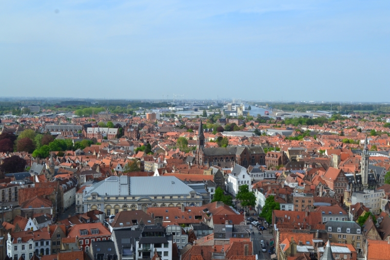 Голландские тюльпаны и бельгийское пиво. 5200 км, 13 дней.