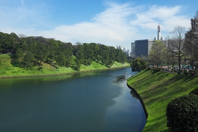 Япония в океане сакуры 2015: Tokyo-Kamakura-Osaka-Himeji-Kyoto-Yoshino-Hikone-гора Fuji