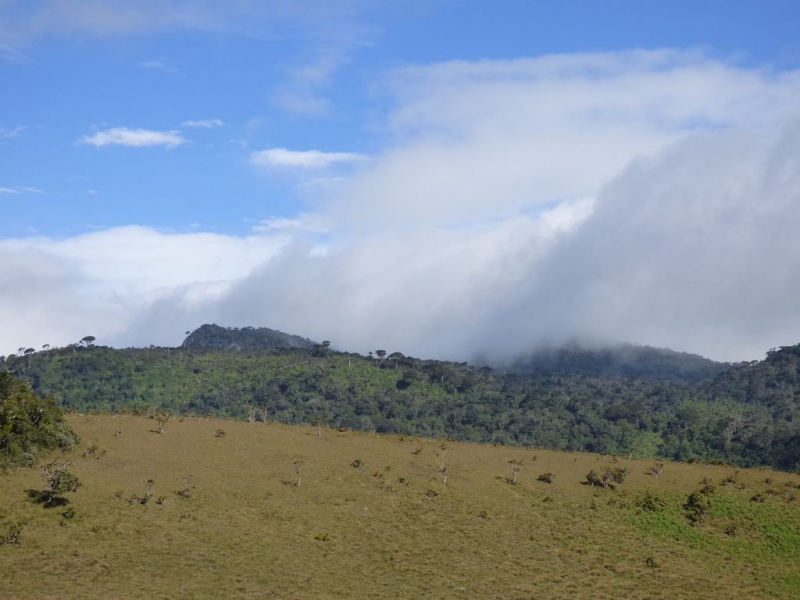 Маршрут по Шри Ланке на арендованном авто во второй половине сентября2015