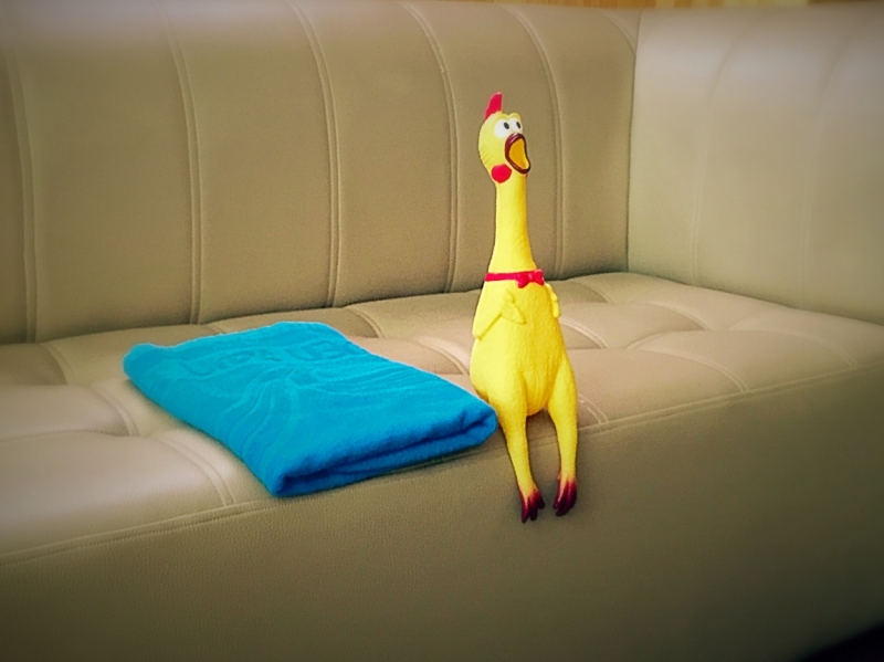 Нячанг с 01 по 13 июля 2015 ПАКЕТ!!! (много фото) #ноуспорт#патифоэврибади