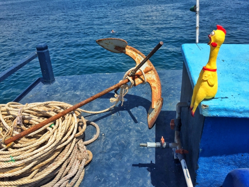 Нячанг с 01 по 13 июля 2015 ПАКЕТ!!! (много фото) #ноуспорт#патифоэврибади