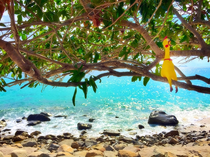 Нячанг с 01 по 13 июля 2015 ПАКЕТ!!! (много фото) #ноуспорт#патифоэврибади