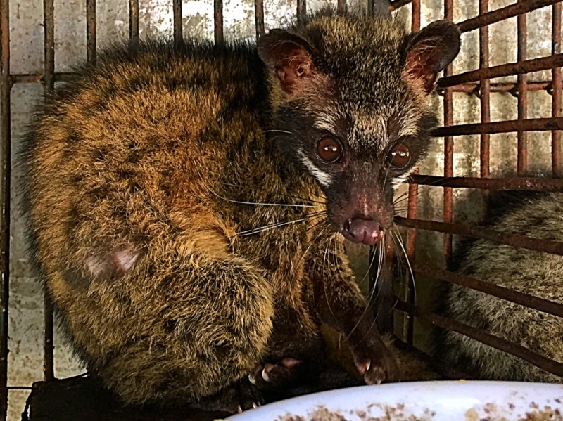 Нячанг с 01 по 13 июля 2015 ПАКЕТ!!! (много фото) #ноуспорт#патифоэврибади