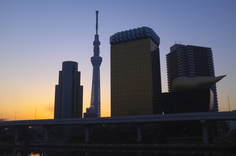 Япония в океане сакуры 2015: Tokyo-Kamakura-Osaka-Himeji-Kyoto-Yoshino-Hikone-гора Fuji