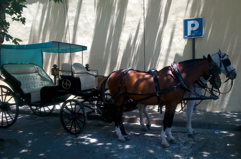 Андалусия июль 2015. Планы и результаты (с фото))