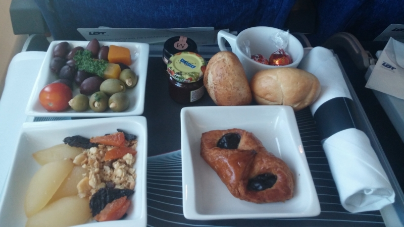 Авиакомпания LOT Polish Airlines информация и отзывы