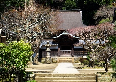 Япония в океане сакуры 2015: Tokyo-Kamakura-Osaka-Himeji-Kyoto-Yoshino-Hikone-гора Fuji