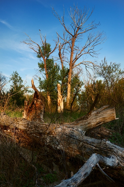 Нижняя Волга для фотографа пейзажиста