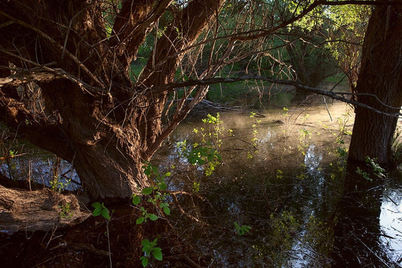 Нижняя Волга для фотографа пейзажиста