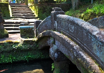 Япония в океане сакуры 2015: Tokyo-Kamakura-Osaka-Himeji-Kyoto-Yoshino-Hikone-гора Fuji