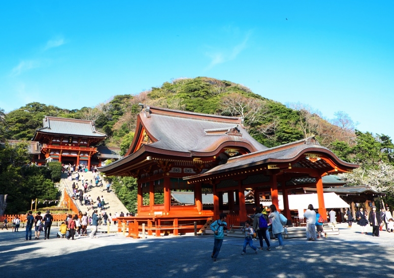 Япония в океане сакуры 2015: Tokyo-Kamakura-Osaka-Himeji-Kyoto-Yoshino-Hikone-гора Fuji