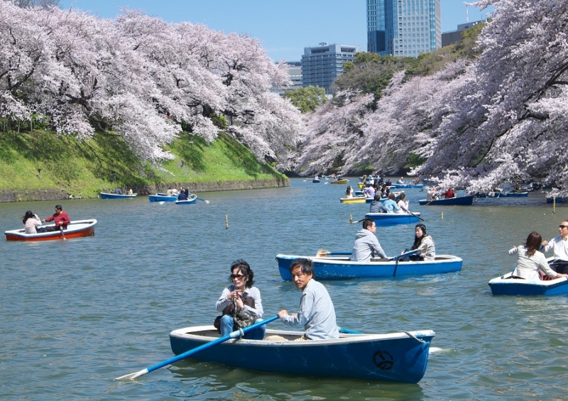 Япония в океане сакуры 2015: Tokyo-Kamakura-Osaka-Himeji-Kyoto-Yoshino-Hikone-гора Fuji