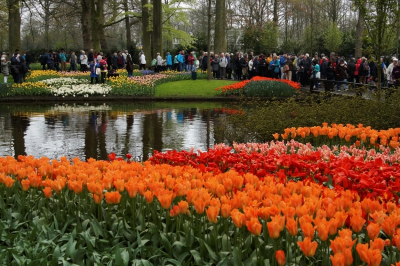 Нидерланды (Keukenhof, Rotterdam, Amsterdam, Delft, Den Haag и еще) + Бавария май 2015