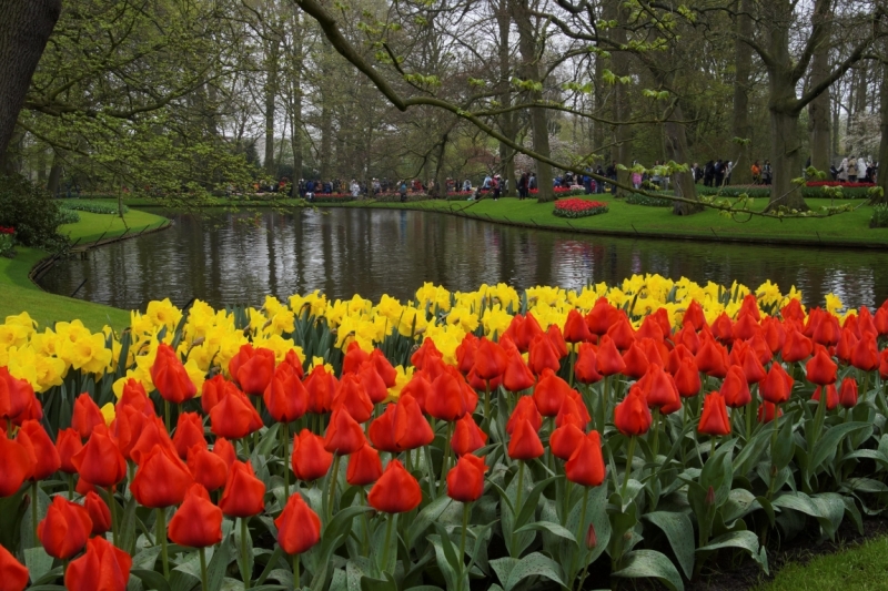 Нидерланды (Keukenhof, Rotterdam, Amsterdam, Delft, Den Haag и еще) + Бавария май 2015