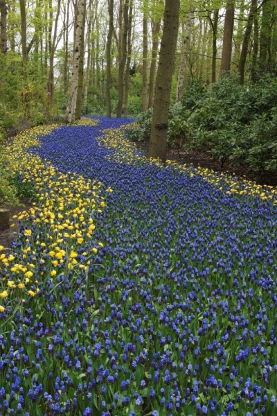 Нидерланды (Keukenhof, Rotterdam, Amsterdam, Delft, Den Haag и еще) + Бавария май 2015