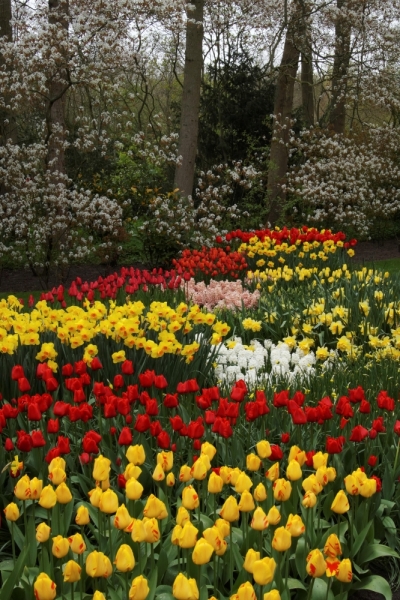 Нидерланды (Keukenhof, Rotterdam, Amsterdam, Delft, Den Haag и еще) + Бавария май 2015