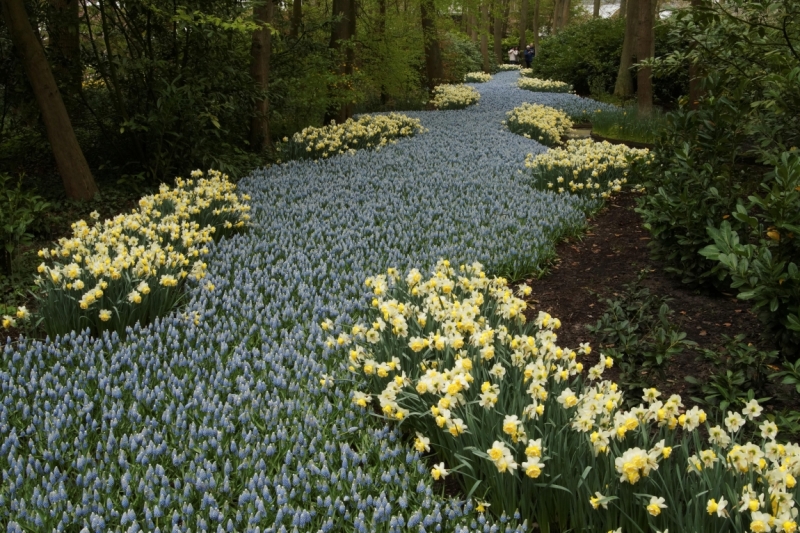 Нидерланды (Keukenhof, Rotterdam, Amsterdam, Delft, Den Haag и еще) + Бавария май 2015